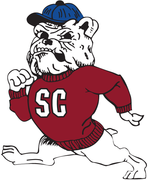South Carolina State Bulldogs 2002-Pres Secondary Logo DIY iron on transfer (heat transfer)